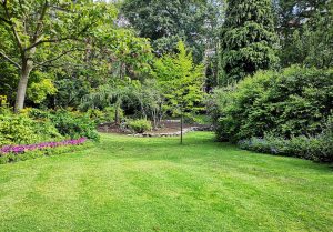 Optimiser l'expérience du jardin à Gelacourt